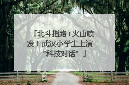 北斗指路+火山喷发！武汉小学生上演“科技对话”